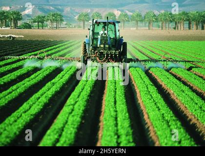 Pesticide application on leaf lettuce in Yuma, Az ca. 2011 or earlier Stock Photo