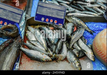 Freshly caught raw anchovies for sale at a local fishmonger stall at the market in old town or Casco Viejo in Pamplona, Spain Stock Photo