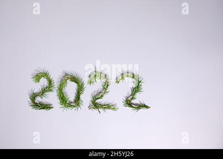 Lightbox with 2022 numbers handmade from Christmas tree branches. Stock Photo