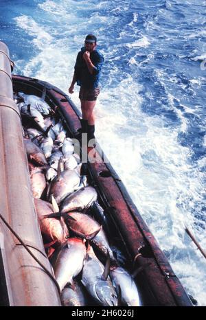 Bigeye tuna Thunnus obesus caught with three-pole one-line rig  (Tropical Pacific Ocean) Stock Photo