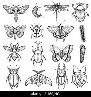 Insects black white line icons set with dragonfly and caterpillar flat isolated vector illustration Stock Vector