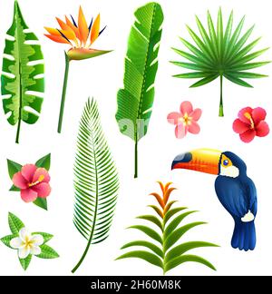 Tropical gardens  leaves and flower set with toucan bird isolated vector illustration Stock Vector