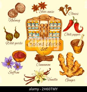 Spices sketch colored set with chili pepper saffron garlic anise isolated vector illustration Stock Vector