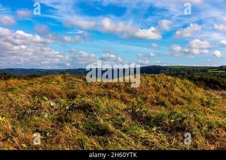 Bronze age bowl barrow or burial mound at Gallantry Bower on the South West Coast Path near Clovelly in North Devon England UK. Stock Photo