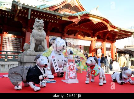 Tokyo, Japan. 12th Nov, 2021. Japanese electronics giant Sony's robot dog Aibo play at the Kanda shrine as they have purified with their owners by Shinto priest for the 753 festival in Tokyo on Friday, November 12, 2021. 753, shichi-go-san is a festival to celebrate growth of children aged 7, 5 and 3 while pet robot Aibo celebrated their third birthday. Credit: Yoshio Tsunoda/AFLO/Alamy Live News Stock Photo