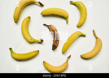 A brown, overripe banana sits surrounded by fresh yellow ones, standing out in the crowd Stock Photo