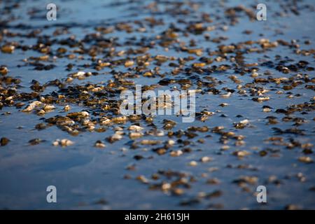 stone soil unclean with water Stock Photo