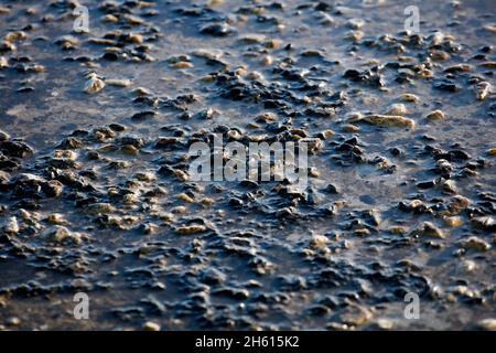 stone soil unclean with water Stock Photo