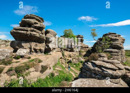 North Yorkshire, view in summer of a woman with a backpack exploring huge eroded rock formations at Brimham Rocks in Nidderdale, Yorkshire, England UK Stock Photo