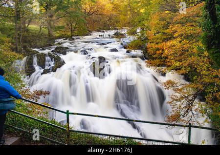 Swalow Falls, (The River Llugwy) near Betws-Y-Coed, County Conwy, North Wales. Image taken in November 2021. Stock Photo