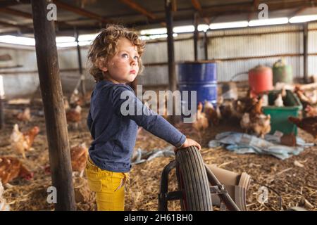 Cute blond boy looking away while standing near hens in pen at organic farm Stock Photo