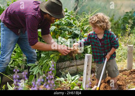 Young man with son planting together at organic greenhouse on sunny day Stock Photo