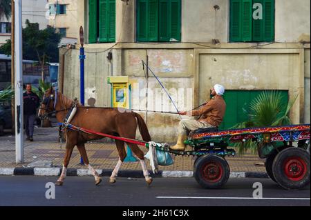 Egypte, la côte méditerranéenne, Alexandrie, la Corniche. // Egypt, Alexandria, the Corniche. Stock Photo