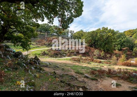 A winding mountain path through oak trees and scenic nature at Fall. Stock Photo