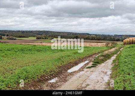 Dirty biking trail with mud through the fields of the Flemish countryside Stock Photo