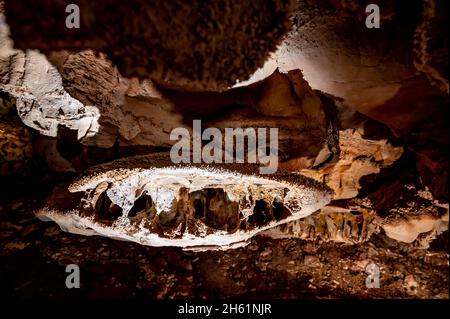 Boxwork formation inside Wind Cave National Park in the Black Hills of South Dakiota Stock Photo