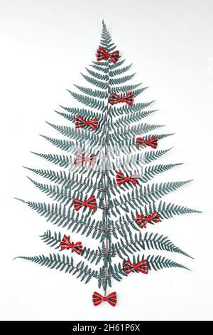 Christmas tree made from natural fern leaf decorative ribbon bows on white background, flat lay Stock Photo