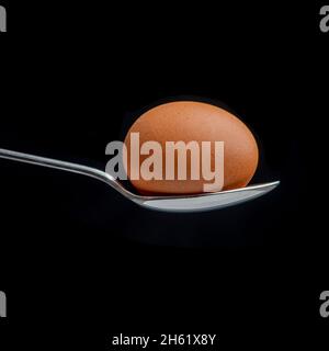 Brown organic egg on a spoon with a black background Stock Photo