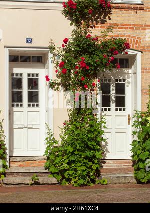 doors,historic houses at heiliggeisthof,rostock,mecklenburg-western pomerania,germany,europe Stock Photo