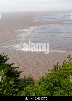 bay of fundy,canada,ebb and flow,hopewell rocks,new brunswick,tidal basin,tidal waves,water,world's highest tide,energy Stock Photo