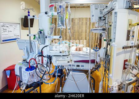 Miami Florida,hospital medical center centre ICU,intensive care unit patient,Hispanic adult man male bed life support heart attack equipment Stock Photo