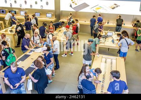 Miami Florida,Dadeland mall,The Apple Store,Apple iPad,product products  display sale,woman women female lady adult adults,servers employee  employees w Stock Photo - Alamy