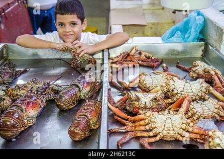 Panama City,Ancon,Mercado de Mariscos,market marketplace selling fresh,Hispanic boy seafood crabs lobsters display sale Stock Photo