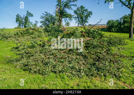 hail damage and heavy rain destroys agriculture in bavaria north of murnau,broken and uprooted trees Stock Photo