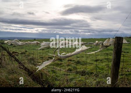 plastic waste litter caught on wire fence in the countryside Stock Photo