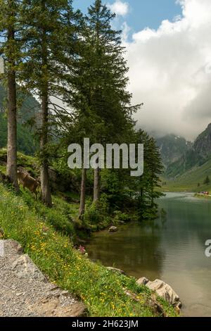 Cloudy summer day in Appenzell. View from Mount Santis Stock Photo - Alamy