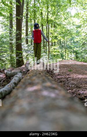 europe,germany,baden-wuerttemberg,schönbuch region,waldenbuch,boy balances on a tree trunk in the forest Stock Photo