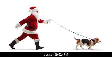 Full length profile shot of a santa claus walking a basset hound dog isolated on white background Stock Photo
