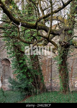 unesco world heritage site augsburg water management system Stock Photo