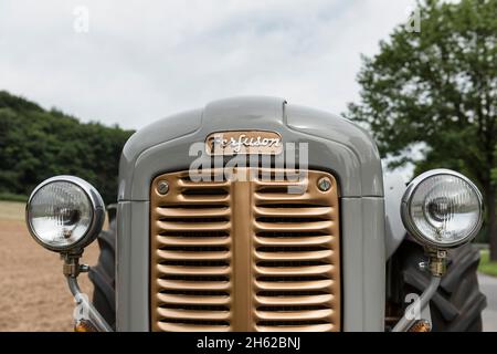 breuberg,hessen,germany,masesey-ferguson fe 35 tractor. cubic capacity 2550 cc,35 hp. permanent year 1960 Stock Photo