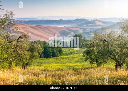 tuscan landscape,morning with fog in the valleys and rolling hills of the crete senesi,asciano,province of siena,tuscany,italy Stock Photo