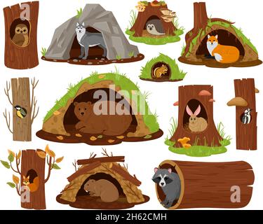 Cartoon forest animals inside hollow, burrow and nest. Woodland fauna in burrows and tree hollows vector illustration set. Owl, bear and hedgehog Stock Vector