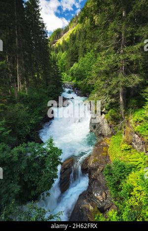 mountain river framed by green forest. wild water path in the stubai valley. stubai alps,tyrol,austria,europe Stock Photo
