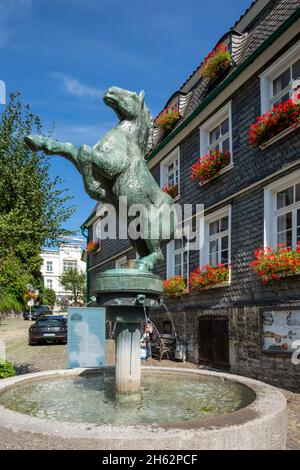 germany,mettmann,bergisches land,niederbergisches land,niederberg,rhineland,north rhine-westphalia,horse fountain with horse sculpture by rudolf christian baisch,behind it the old mayor's office,town history house,town museum,formerly called metzmacher house Stock Photo