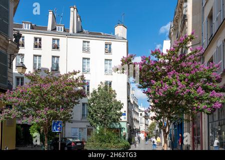 france,paris,view of the rue des rosiers,famous street in the jewish district of the marais