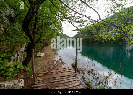 a wooden walkway surrounded by trees,waterfalls and greenery in plitvice national park,croatia Stock Photo