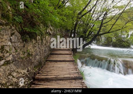 a wooden walkway surrounded by trees,waterfalls and greenery in plitvice national park,croatia Stock Photo