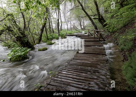 a wooden walkway surrounded by trees,waterfalls and greenery in plitvice national park,croatia Stock Photo