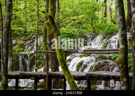 a wooden walkway surrounded by trees,waterfalls and greenery in plitvice national park,croatia Stock Photo