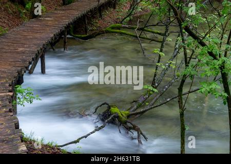 a wooden walkway surrounded by trees,waterfalls and greenery in plitvice national park,croatia Stock Photo