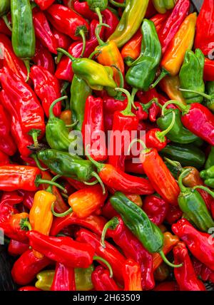 Close-up of vibrrant colored habanero chili peppers Stock Photo