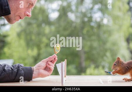 close up of red squirrel with a tennis racket and a man on a tennis court Stock Photo