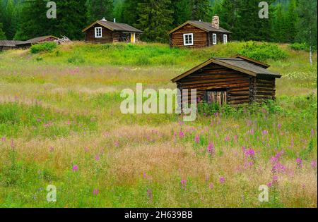 europe,sweden,jämtland province,härjedalen,sennhütte near vemdalen Stock Photo