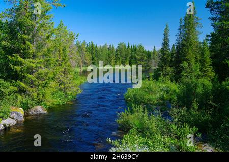 europe,sweden,jämtland province,härjedalen,river landscape near tännäs Stock Photo