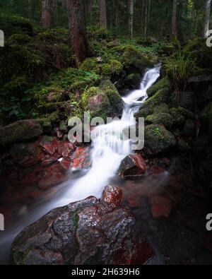 watercourse in the black forest Stock Photo