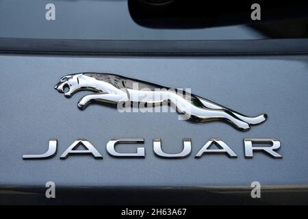 car,jaguar,detail,jaguar emblem on the rear of a car,company logo,lettering,chrome Stock Photo